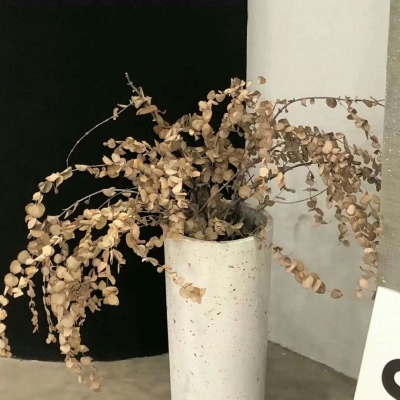 Furry绘画动态技巧兽圈群